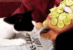 缇庝附鍗曞搧鍝釜鐗屽瓙濂界敤,缇庝附鍗曞搧鍝濂界敤