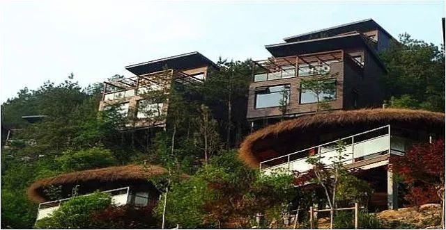 龙泉驿区幸福美丽乡村建设,龙泉驿阳光村乡村振兴项目