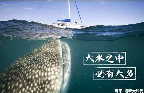 道破港股|港股的2017——一辆飞驰中的*博兰**基尼