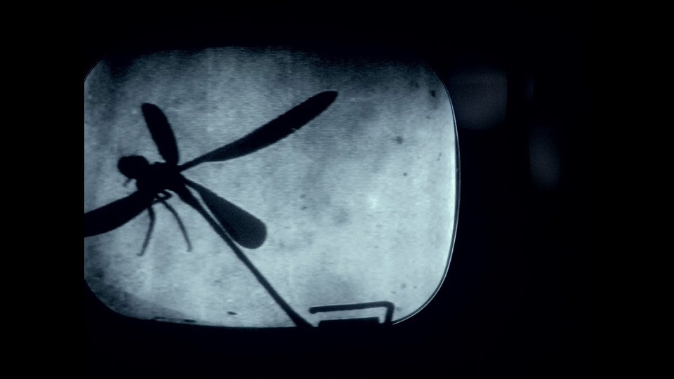 豆瓣年度日历,豆瓣日记2017