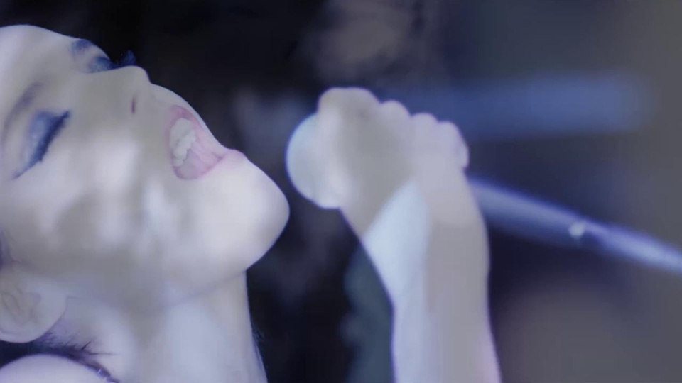 豆瓣年度日历,豆瓣日记2017