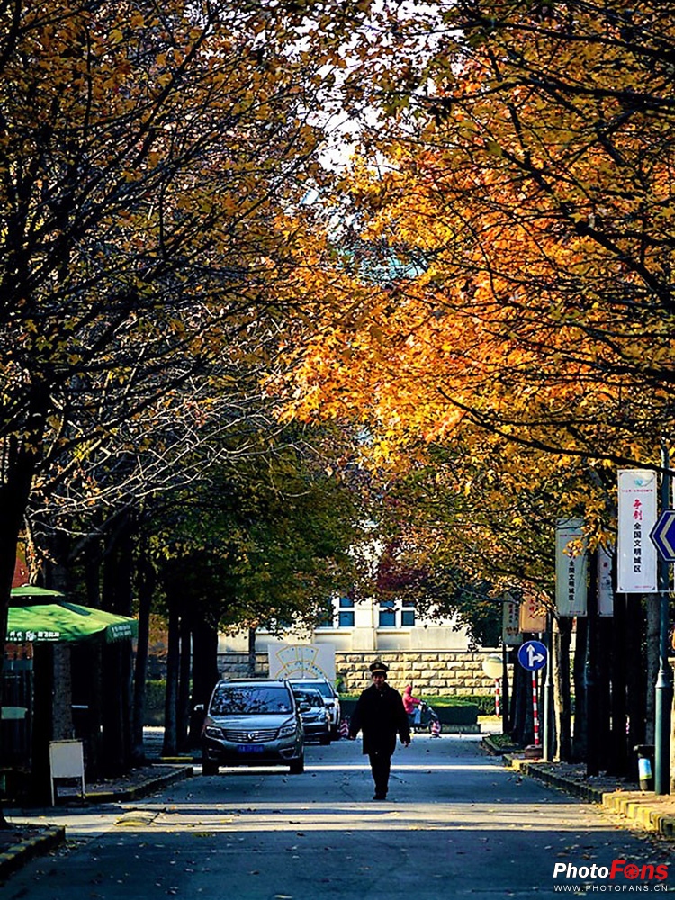 小蚁微单M1怎么样,小蚁m1微单没有实时预览