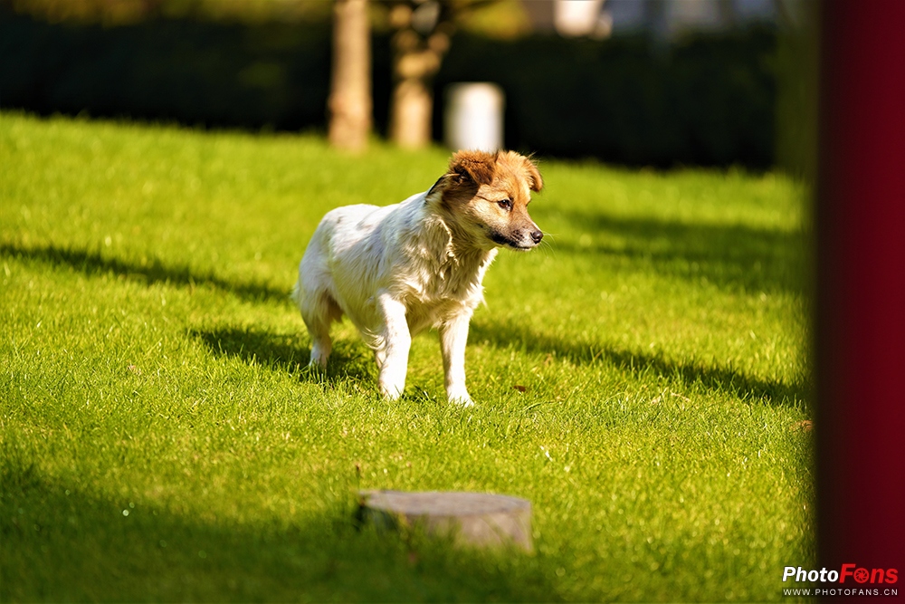 小蚁微单M1怎么样,小蚁m1微单没有实时预览