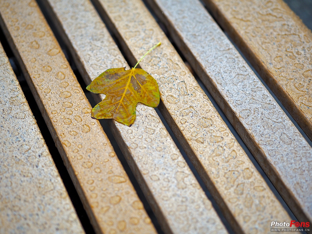 奥林巴斯45mmf1.8效果,奥林巴斯45f1.2测评