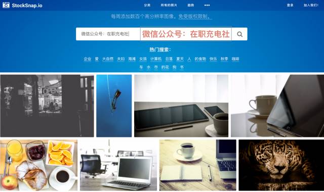 免费干货视频素材网,无版权无水印影视素材网站