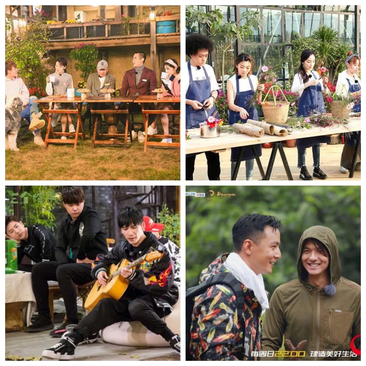 仅两档破1，慢综艺未成爆款、综N代下跌，Q4综艺陷话题足、收视扑街怪圈？