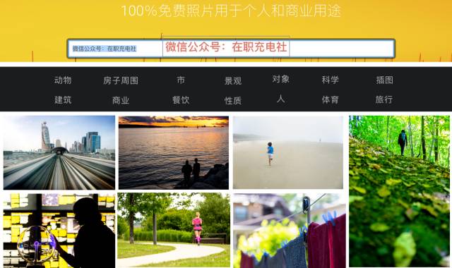 免费干货视频素材网,无版权无水印影视素材网站