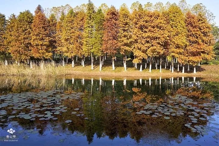 无锡江南古村,尧歌里古村入口景观工程