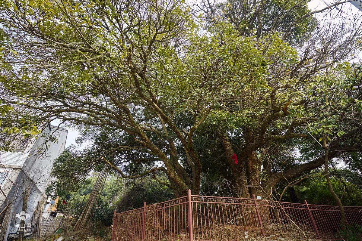 无锡江南古村,尧歌里古村入口景观工程