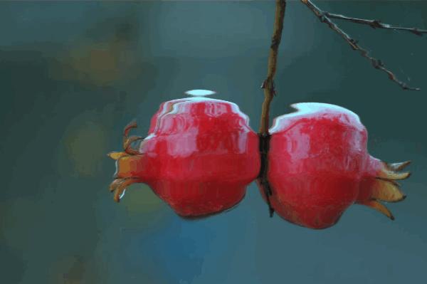 童装流行趋势颜色搭配,童装流行搭配颜色有哪些