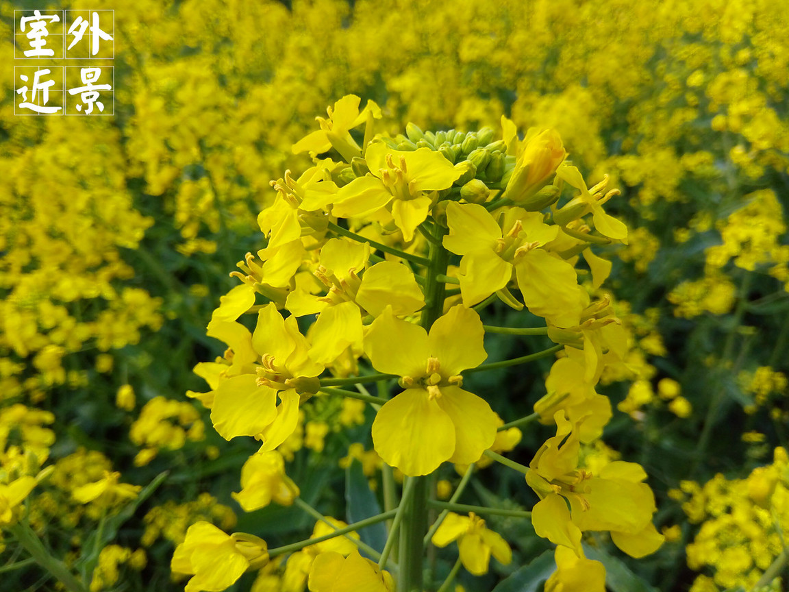 4在必得：360手机F4全体验