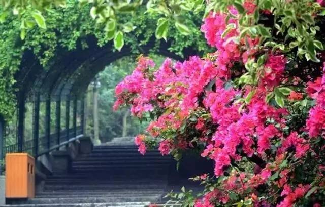 五一出行100分推荐，人少景美文艺到爆