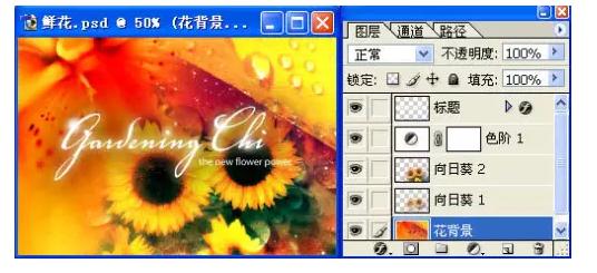ps术语入门教程,ps入门避坑指南