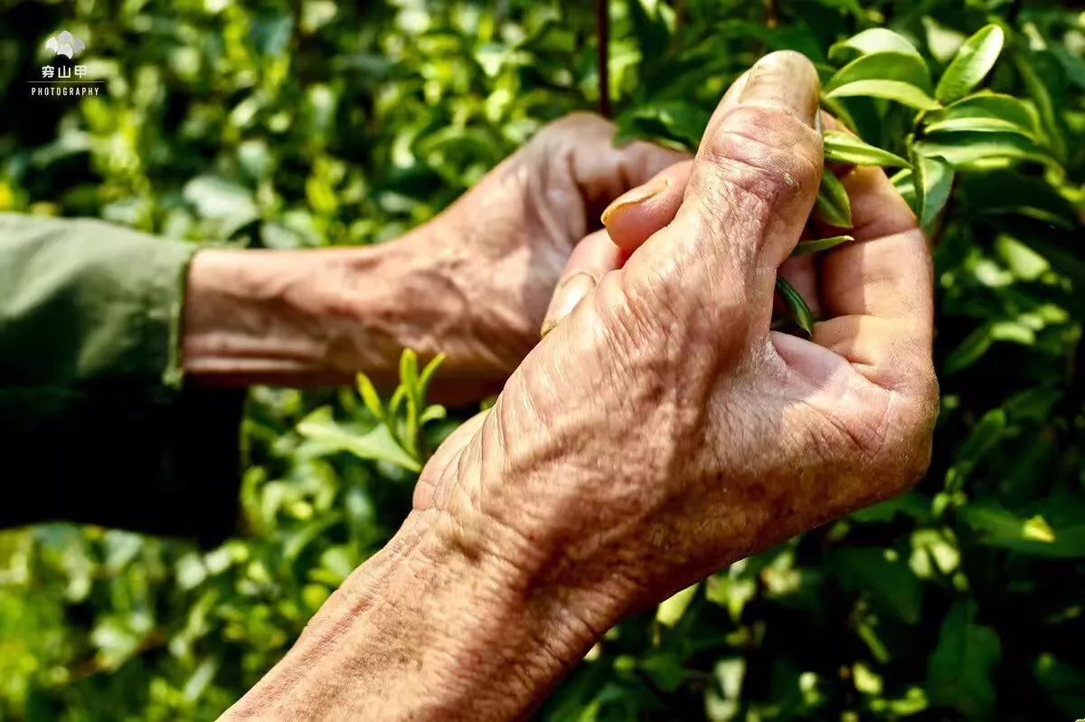 无锡江南古村,尧歌里古村入口景观工程