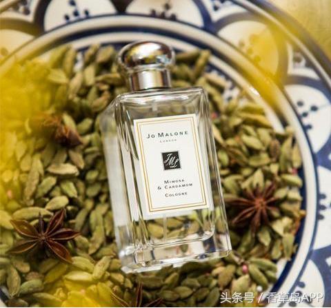 香料界第三贵重的香料，是健胃消食的绿色口气清新剂！