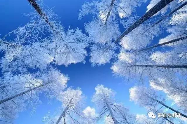 带娃冬天看雪最好的地方,冬季带孩子玩雪必备