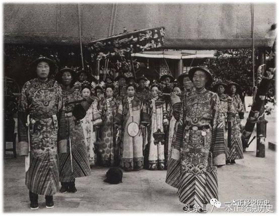 妖猫传猫到底是什么,妖猫传的猫哪来的