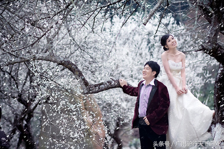 从化石门公园赏红叶旅游团,从化石门森林公园赏梅花路线