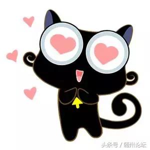 电信天翼日租卡1元800m,天翼日租卡1元800m介绍