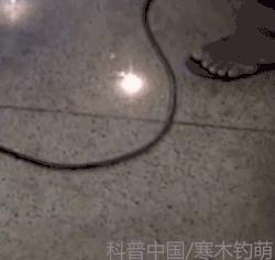 诡异神秘的球状闪电,了解球状闪电的自然之谜