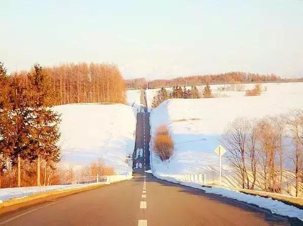 带娃冬天看雪最好的地方,冬季带孩子玩雪必备