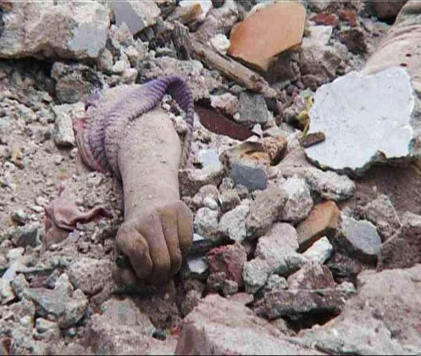 村里那些危险的流浪汉,给村里流浪汉做饭的女博主