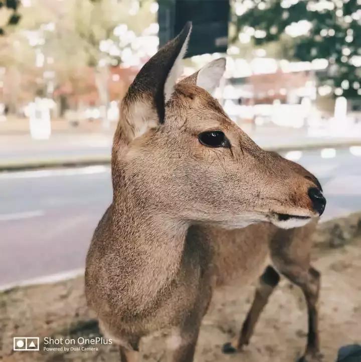 干货可以做不,干货主播好不好干