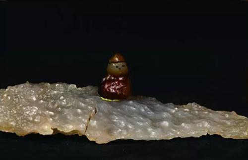 金奖含金量高的石头,国宝级特等奖石头