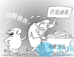 仔猪及母猪保健的重要性,后备母猪的保健用药