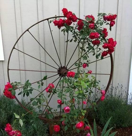 自行车骑行必备的一些东西,什么自行车可以长时间骑行还不累