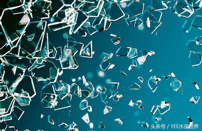 亚克力鱼缸的透光度是多少,亚克力鱼缸和玻璃哪个好