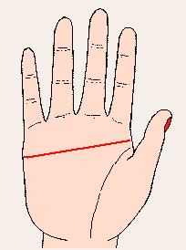 手相八个神断法,掌纹专家讲生命线