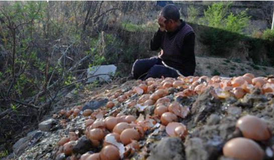 2017年这几颗蛋您还记得吗？