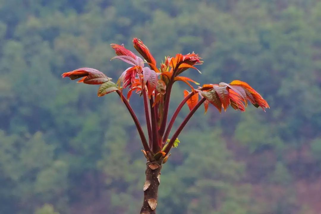 2018年你要如何过,2018你想做什么