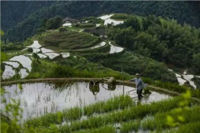 2018年你要如何过,2018你想做什么