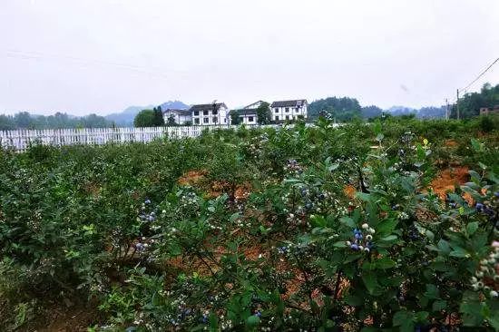 2018年你要如何过,2018你想做什么