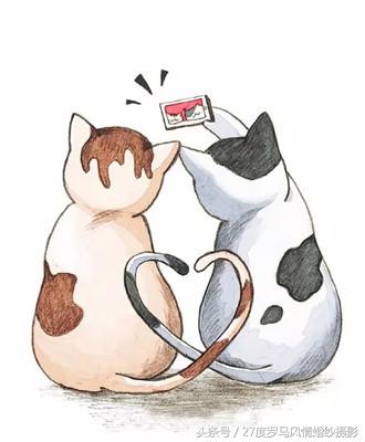 婚礼婚纱摄影指南,拍婚纱照选婚纱推荐