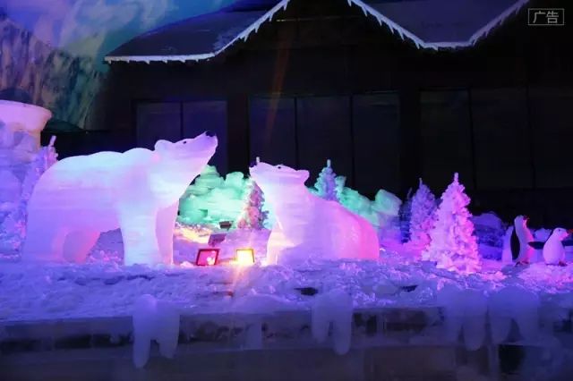 元旦假期别宅了，到粤港澳大湾区参加跨年派对吧！