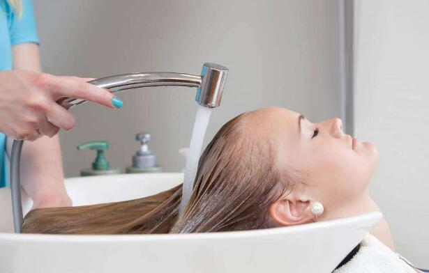 柏枝树叶煮水洗头的正确方法,侧柏叶煮水洗头的正确方法