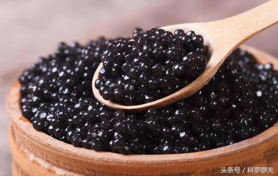 鱼子酱25万一小勺,最顶级鱼子酱是哪个国家生产的