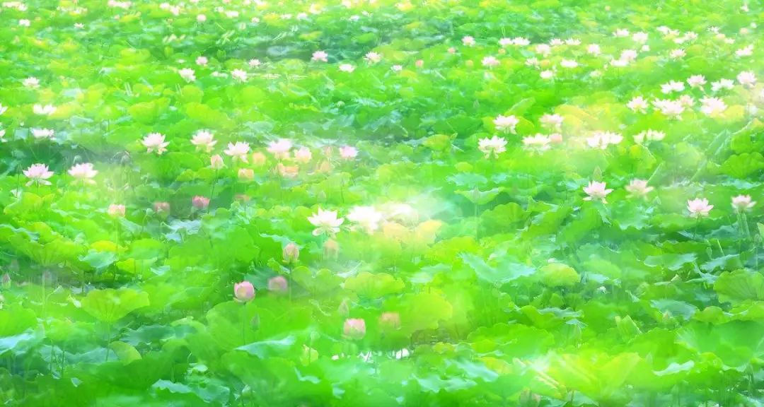 2018年你要如何过,2018你想做什么