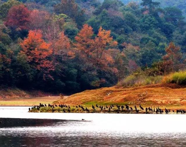 2018年你要如何过,2018你想做什么