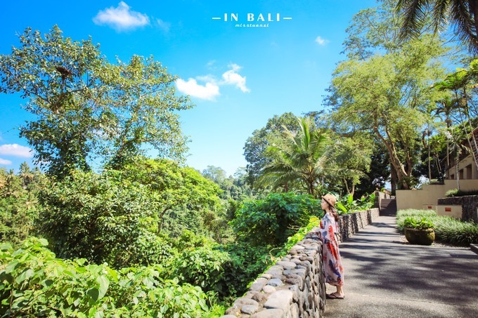 我的2017全文,国家35个主要城市名单