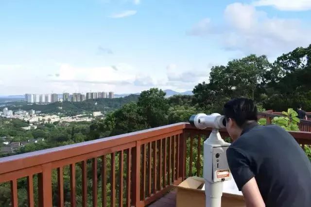 元旦假期别宅了，到粤港澳大湾区参加跨年派对吧！