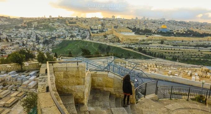 我的2017全文,国家35个主要城市名单