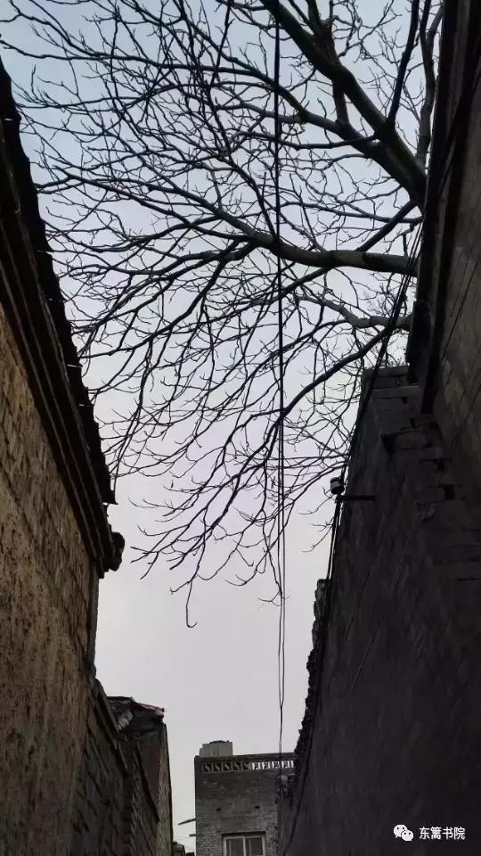 姑父和姑姑之间的亲情,姑父和侄子之间的亲情