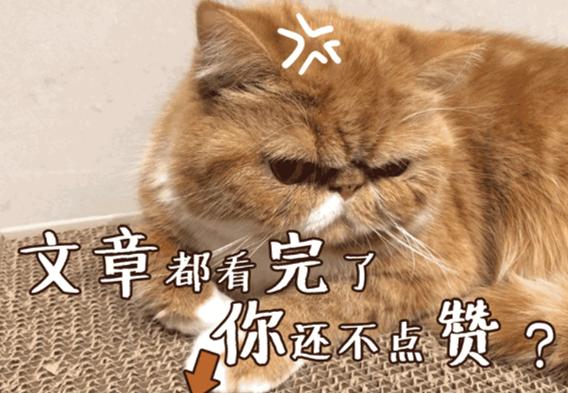 橙子柚子橘子柑橘的区别,桔子橙子柚子和柑子的区别