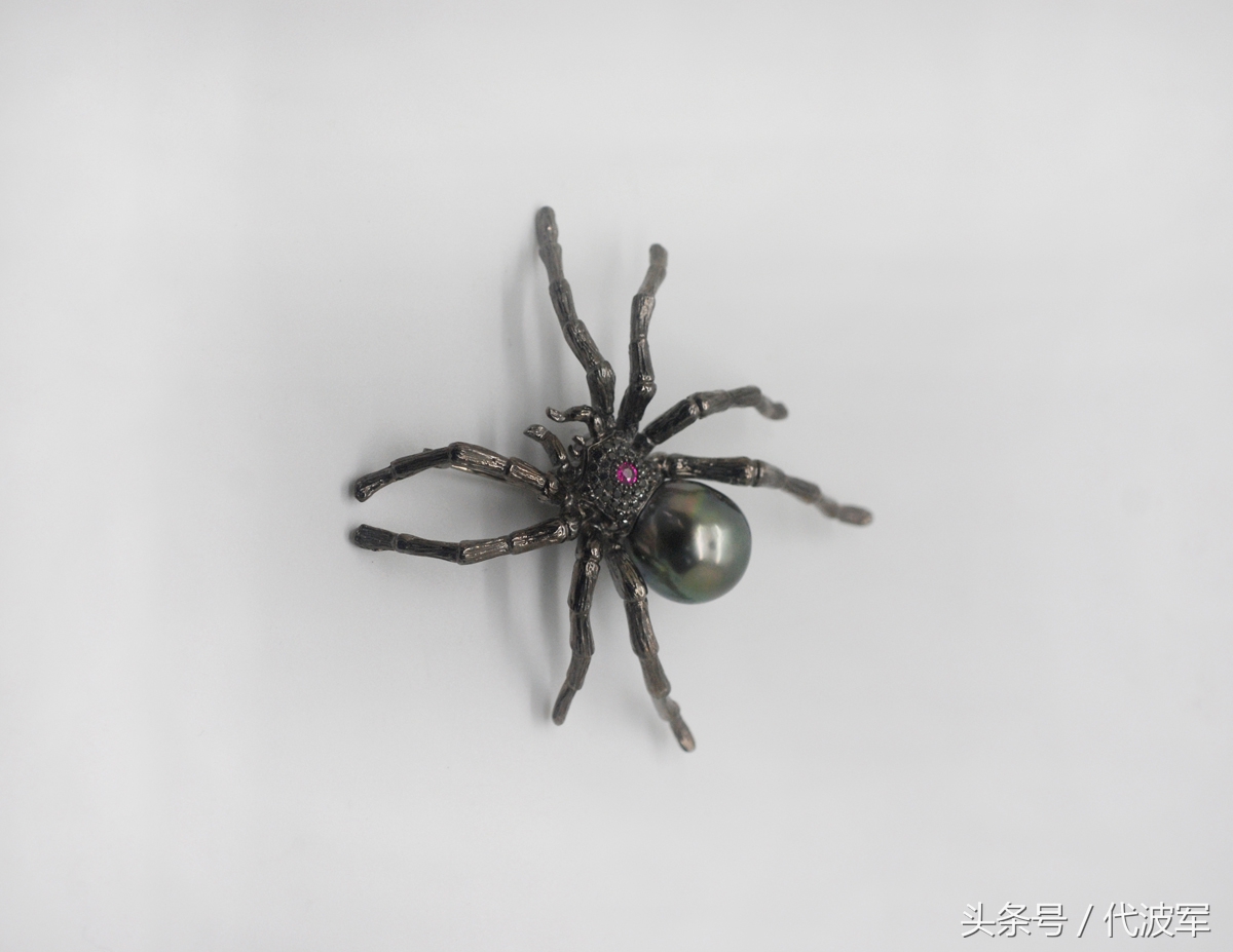 蜘蛛吊财神到有道理吗,吊蜘蛛预示什么