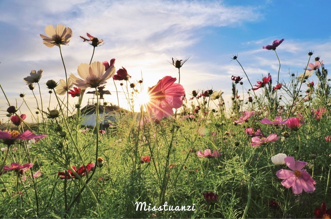 我的2017全文,国家35个主要城市名单