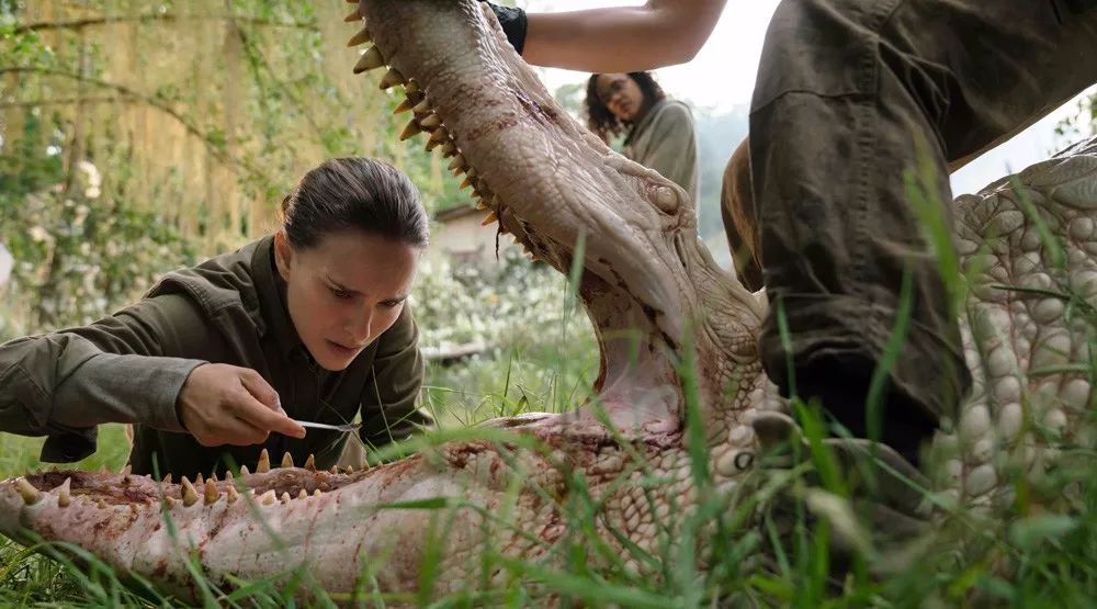 近期好莱坞大片都有哪些,2018好莱坞大片排行榜前十